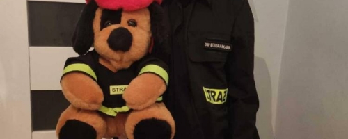 Konkurs z okazji Dnia Pluszowego Misia 2021